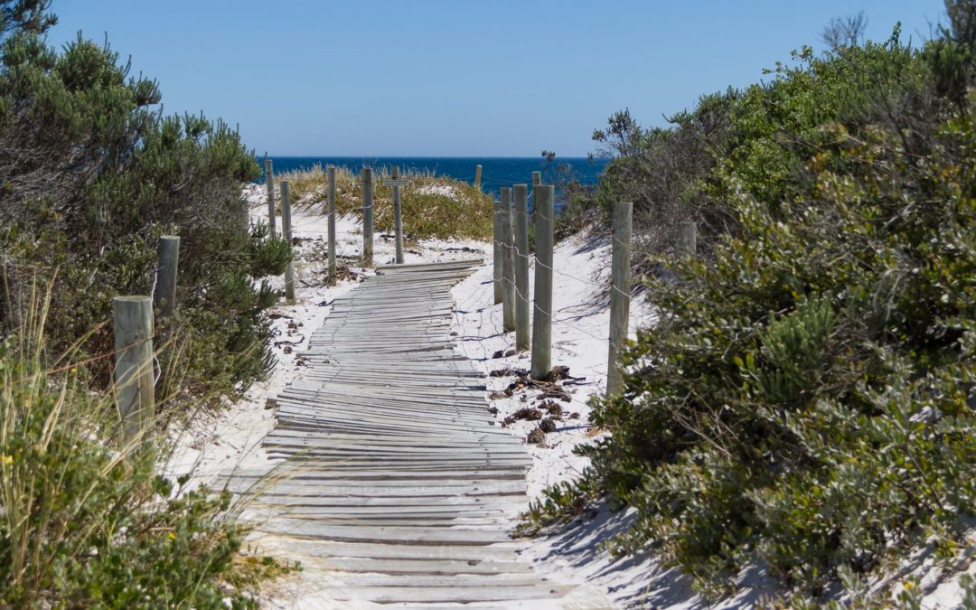 Drawing inspiration from our little house next to the sea…