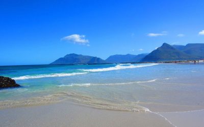 A fond farewell to winter!