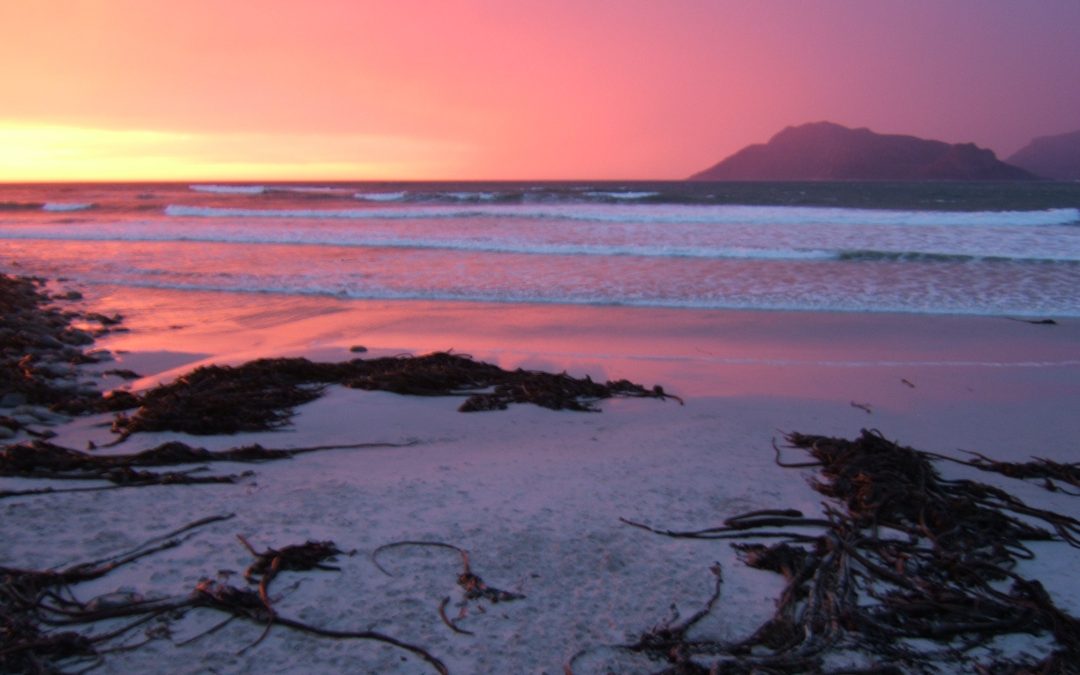 Eat, play, love at Fin Whale Beach House!