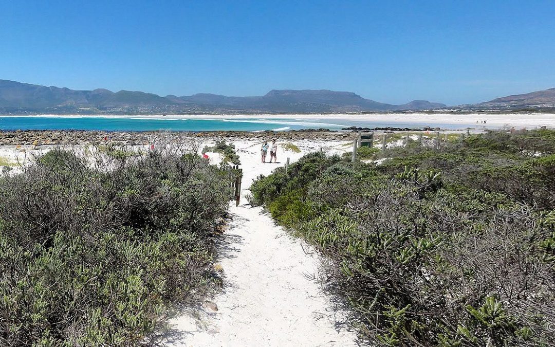 a dune's walk away to the beach